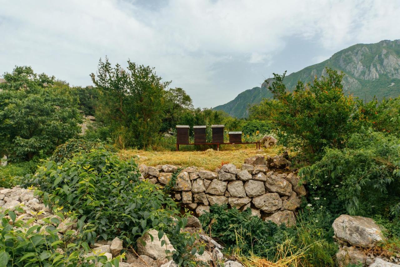Apartments Econature Virpazar Exterior photo
